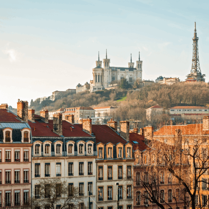 France | Market Study