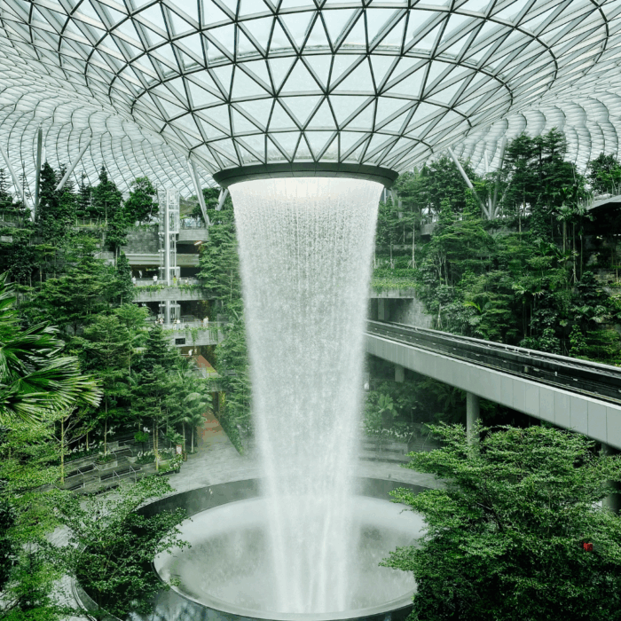 Singapore | Market Study 2019
