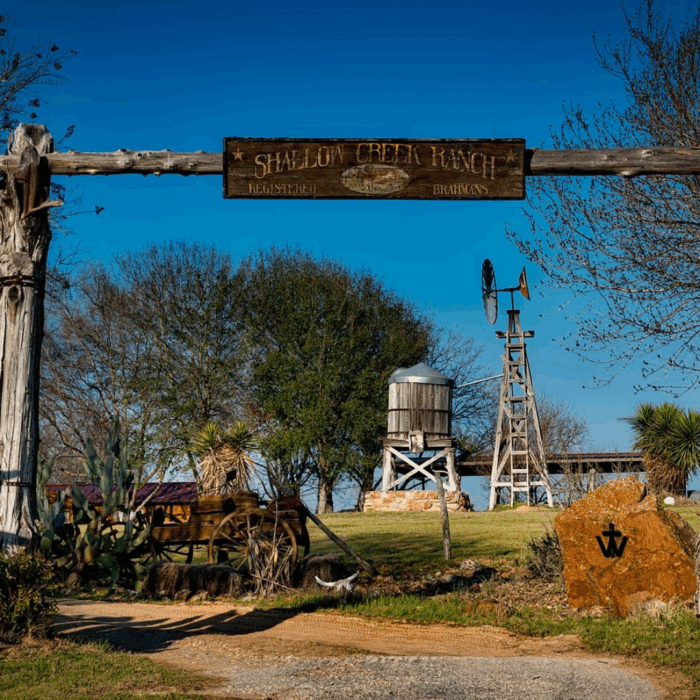 United States | Market Study (Texas)