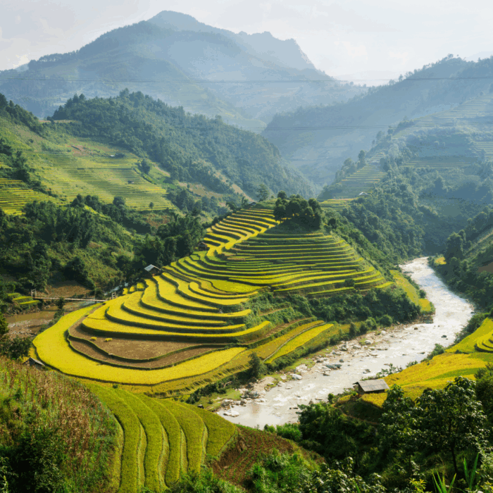 Vietnam | Market Study 2019