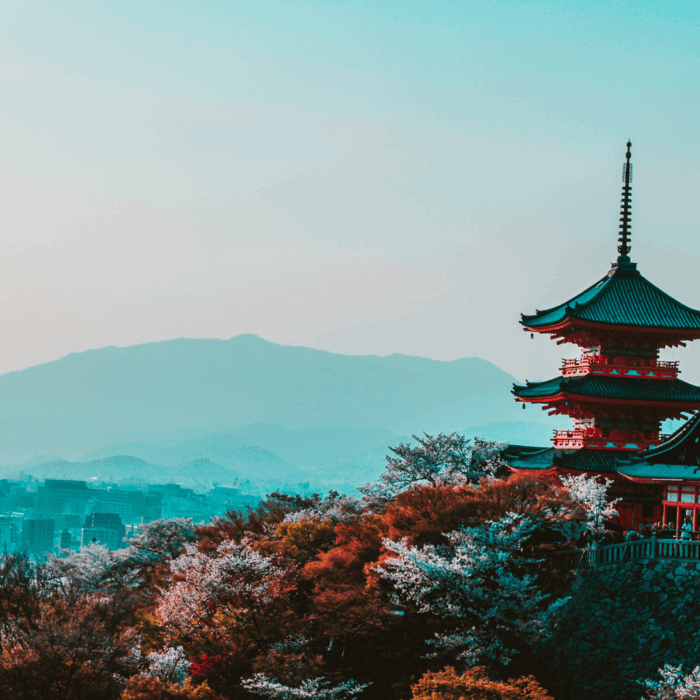 Japan | Market Study 2019