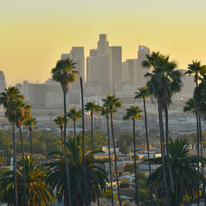 United States | Market Study (California)