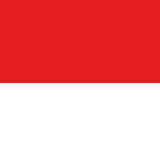 square flag Indonesia