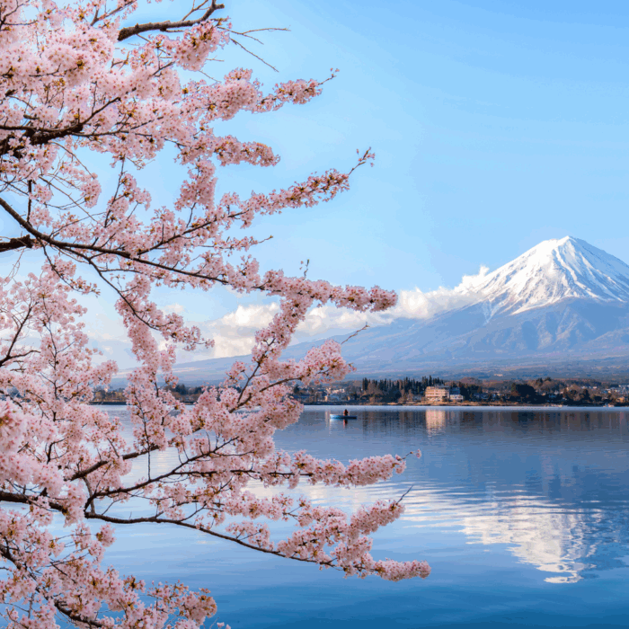 Japan | Market Study 2024