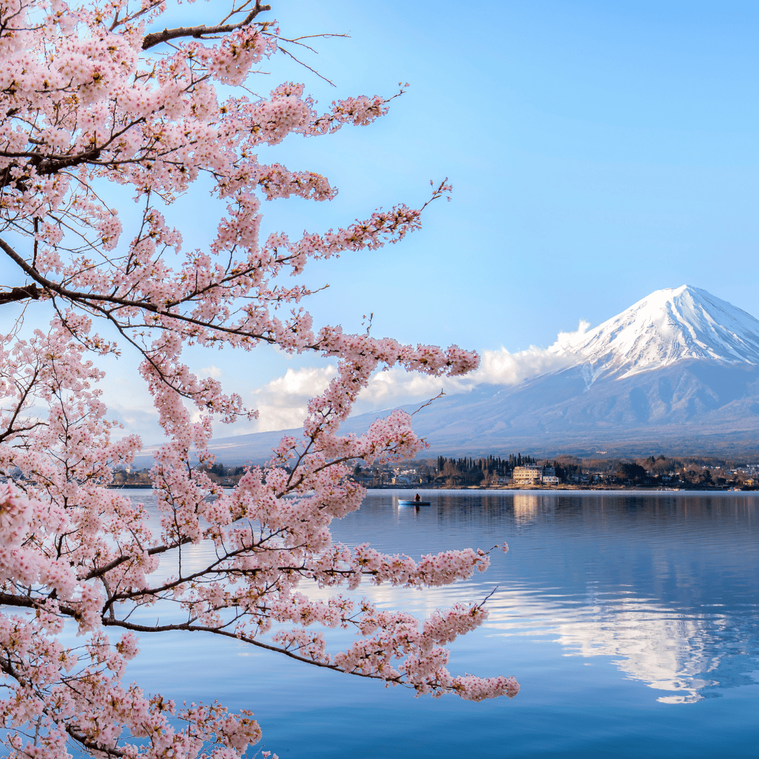 Japan | Market Study 2024