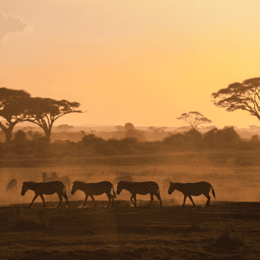 Kenya | Market Study (Medical Devices & eHealth) 2021
