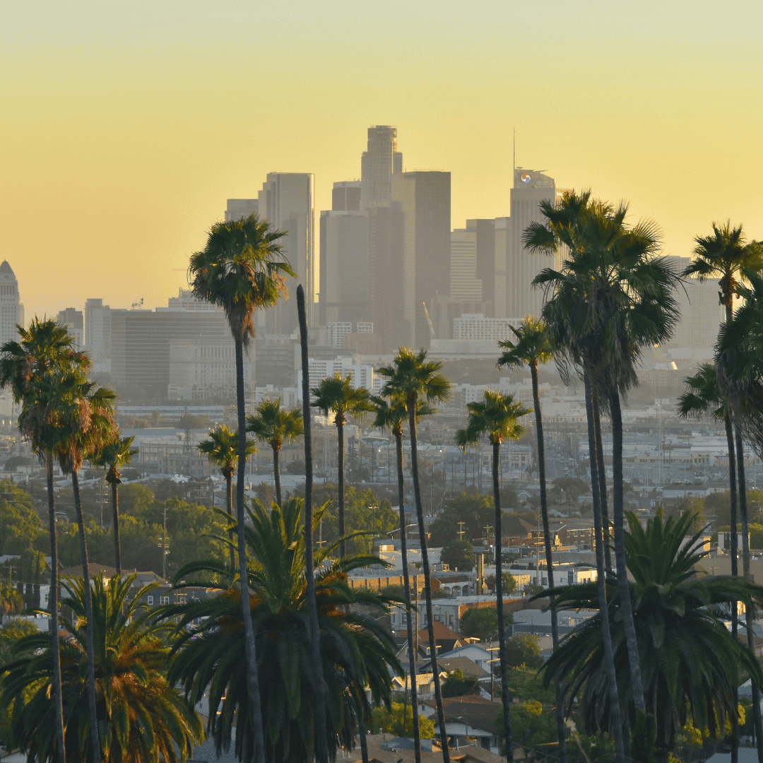 United States | Market Study (California) 2020