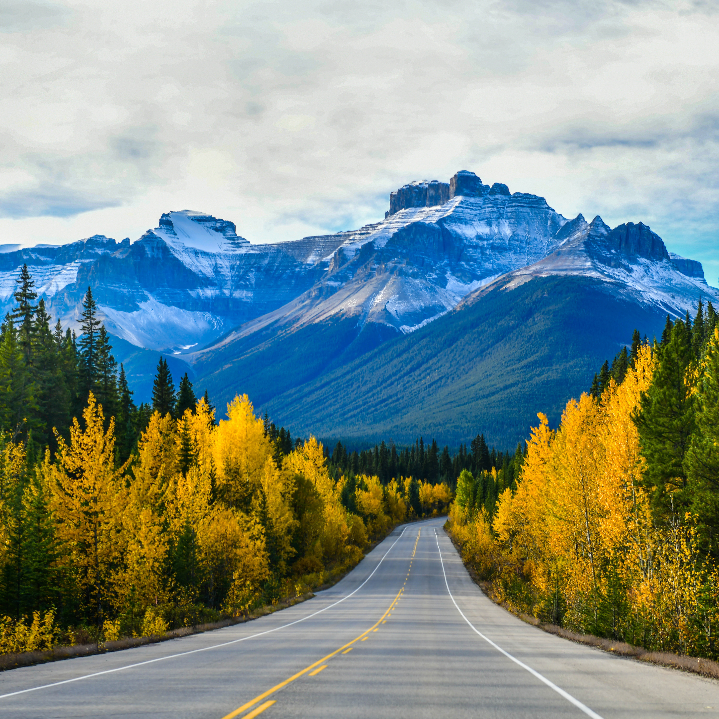 Canada | Market Study 2022